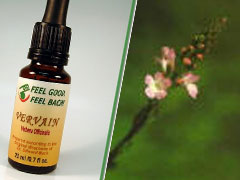 Bach Flower Vervain